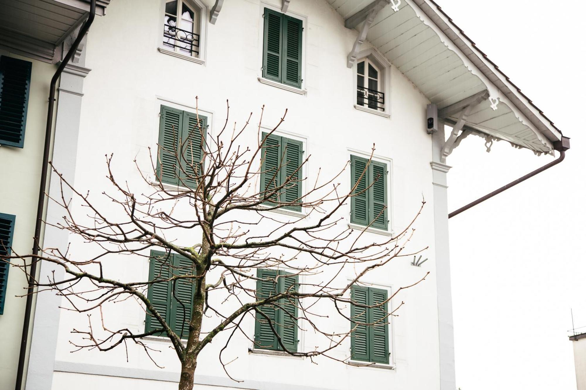 Nimbuzzz Apartments Unterseen Bagian luar foto
